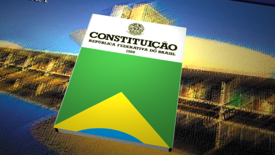 Direito Constitucional no XXVIII exame: O que achei?